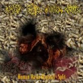 No One Gets Out Alive / Goremonger / Genital Mutilation / Cranial Xerosis - Human Waste Disposal cover art
