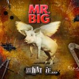 Mr.big - What If… cover art