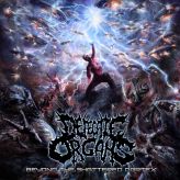 Defecate Organs - Beyond the Shattered Cortex cover art