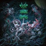 Eviscerated Entrails / Derogation / Dismetry - Extraterrestrial: Embodiment cover art