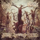 Rotten on Gore / Visceral Decay / Sanguinary Execution / Gastrorrexis / Genetic Aberration - Sutured Bleeding Wounds cover art