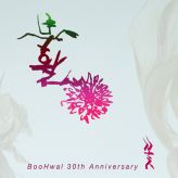부활 (Boohwal) - 꽃 cover art