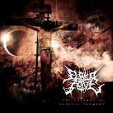 Flayed Alive - The Enigmas of Deistic Torment cover art