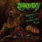 Debridement - Reduced to a Pile of Putrefying Slop cover art