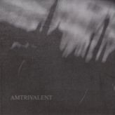 Lifeless Within / Fliegend / Negative or Nothing - Amtrivalent cover art