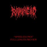 Rawhead - Spineless Pigs cover art