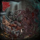 Insidious Squelching Penetration - Writhing in Darkness cover art
