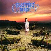 Electric Boys - Groovus Maximus cover art