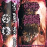 Posthumous Regurgitation - Bizarre Fungating Ulceration cover art