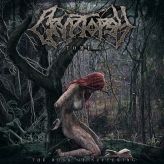 Cryptopsy - The Book of Suffering - Tome I cover art