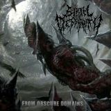 Birth Of Depravity - From Obscure Domains cover art