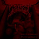 Fetus Slicer - Rotten Infant Phenomenon cover art