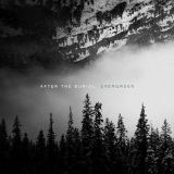 After the Burial - Evergreen cover art