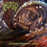 Fetid - Steeping Corporeal Mess cover art