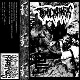 Toxocariasis - Demo I cover art
