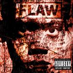Flaw - Through the Eyes cover art