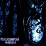 Nocturnal Winds - Everlasting Fall cover art