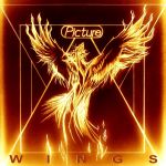 Picture - Wings