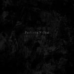 Paskirta Vilkai - Void / Fear cover art