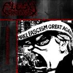 Flesh Incineration - Authoritarian Populism cover art