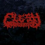 Flesh Incineration - Vote No For Your Rights cover art