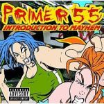 Primer 55 - Introduction To Mayhem cover art