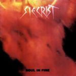 Siecrist - Soul In Fire cover art
