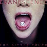 Evanescence - Wasted on You cover art