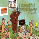 Amoebic Dysentery - Hospice Orgy cover art