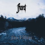 Fjord - Fara I Viking cover art