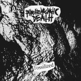 Phreatomagmatic Death - Fossilized cover art