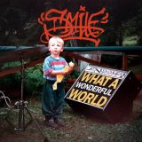 Smile - What a Wonderful World cover art