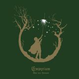 Empyrium - Über den Sternen cover art