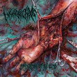 Hysterorrhexis - Maggots Infest the Limb cover art