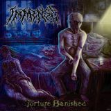 Immense - Torture Banished cover art