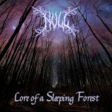 Null - Lore of a Sleeping Forest cover art