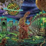 Rings of Saturn - Embryonic Anomaly Remake cover art