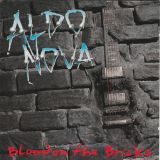 Aldo Nova - Blood on the Bricks cover art