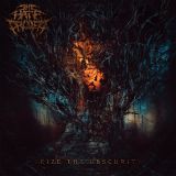 The Hate Project - Seize the Obscurity cover art