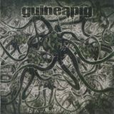 Guineapig - Bacteria cover art
