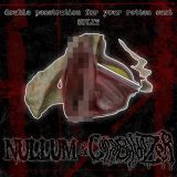 Nullum - Double Penetration for Your Rotten Cunt cover art