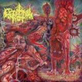Cerebral Rot - Excretion of Mortality cover art