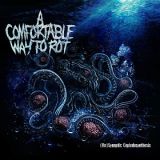 A Comfortable Way to Rot - (Re​)Synaptic-Cephalosynthesis cover art
