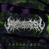 Abated Mass of Flesh - Enfleshed cover art