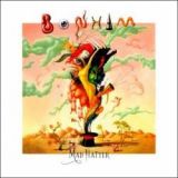 Bonham - Mad Hatter cover art