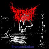 Decrepit Artery - Transmutation cover art