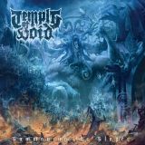 Temple of Void - Summoning the Slayer cover art