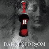 IZZ - The Darkened Room