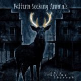 Pattern-Seeking Animals - Only Passing Through cover art