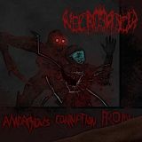 Necrotisplatter - Amorphous Corruption Promo cover art